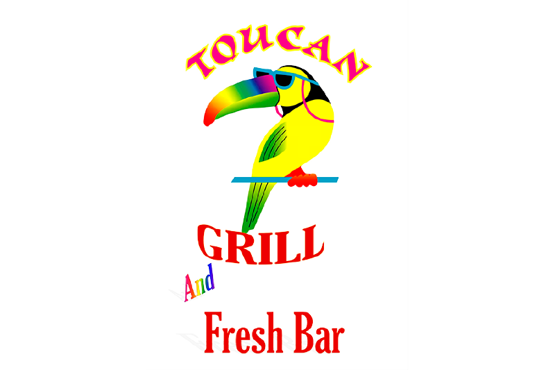 Toucan Logo
